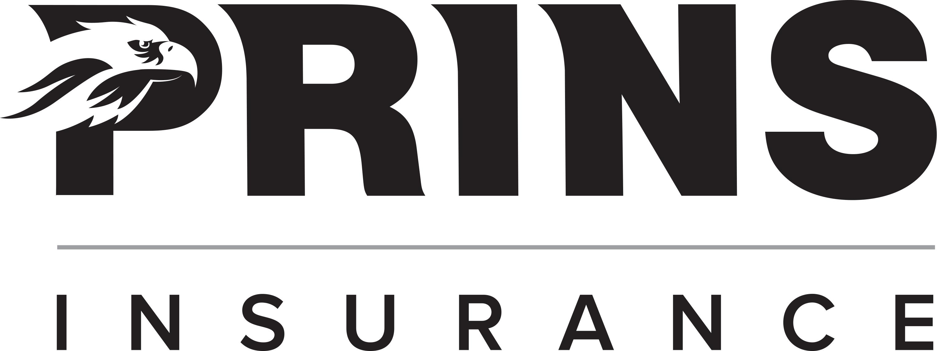 Prins Insurance, Inc. Logo